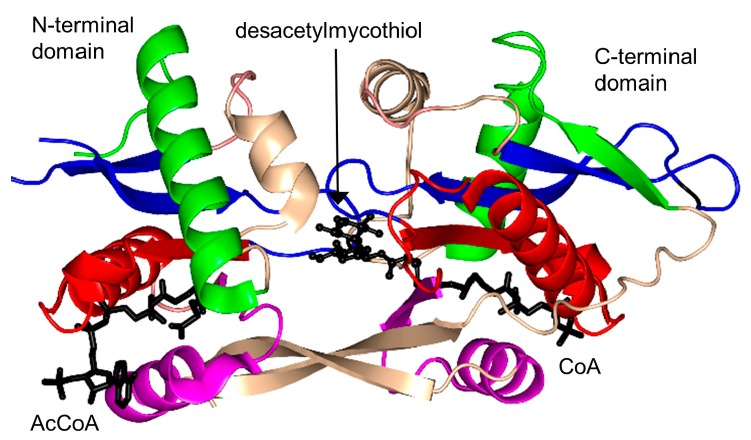 Figure 19