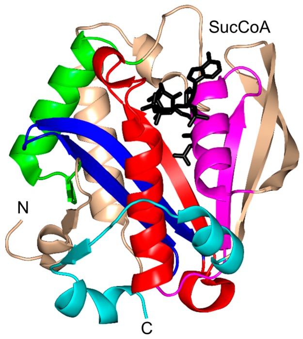 Figure 16