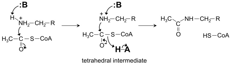 Figure 22