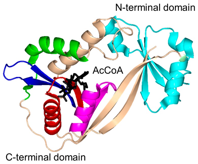 Figure 10