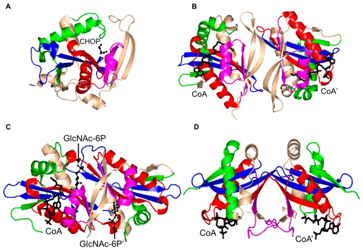 Figure 20