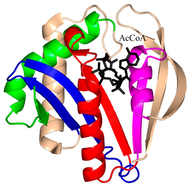 Figure 11