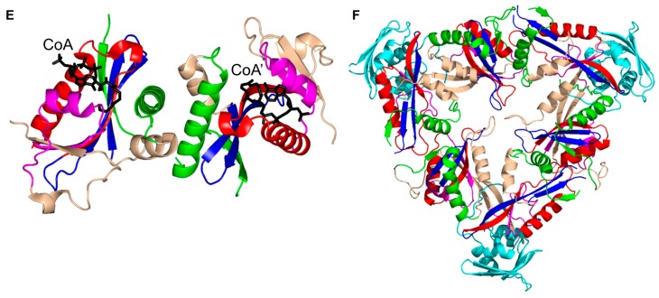 Figure 20