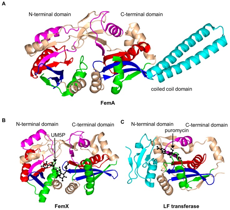 Figure 17