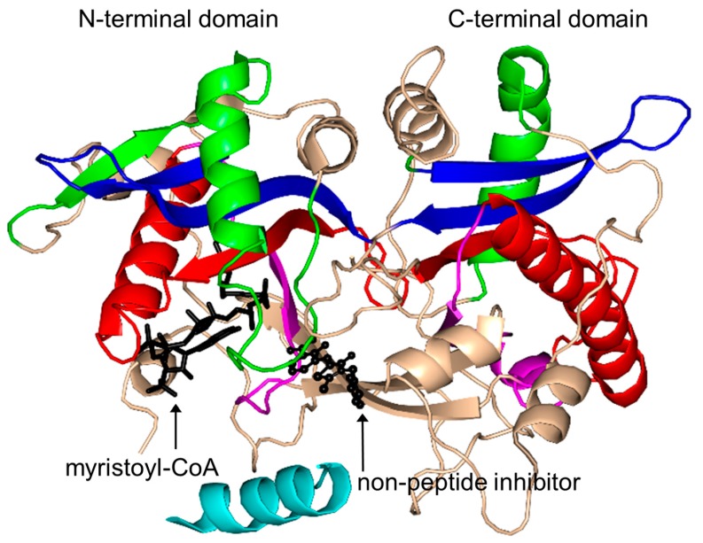 Figure 18