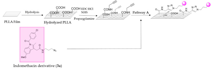 Scheme 5