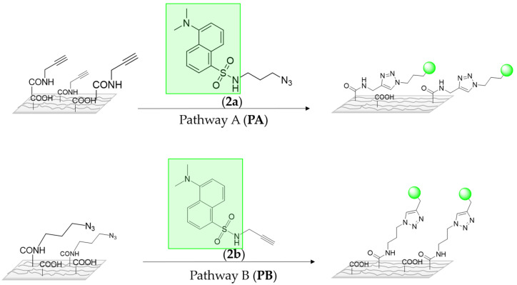 Scheme 3