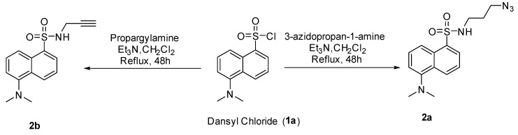 Scheme 2