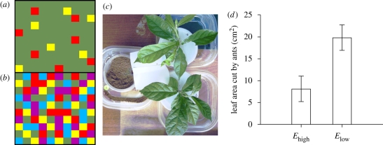 Figure 1.