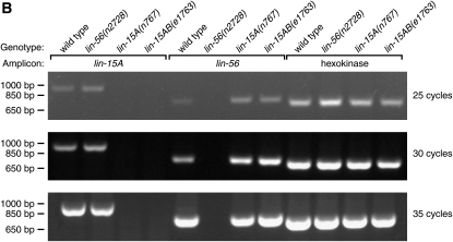 Figure 4.—