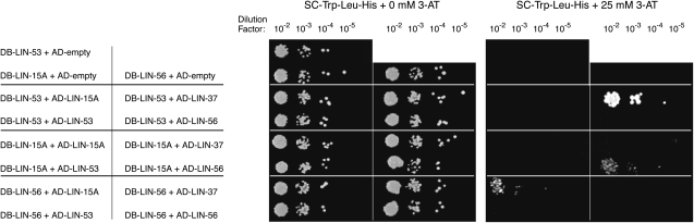 Figure 5.—