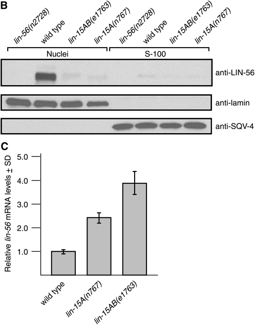 Figure 3.—