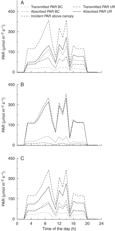 Fig. 7.