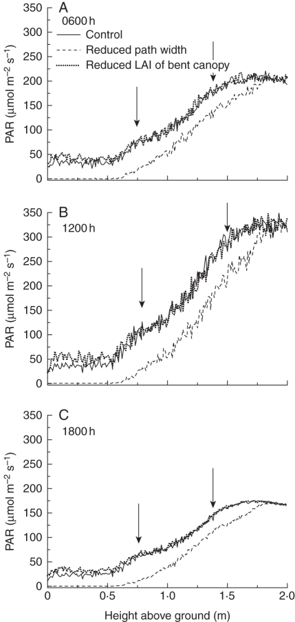 Fig. 8.