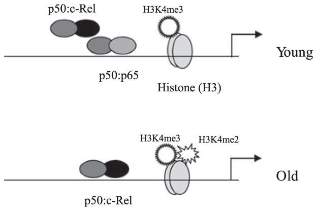 Fig. 7