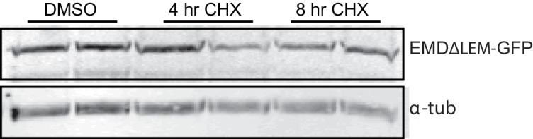 Figure 8—figure supplement 1.