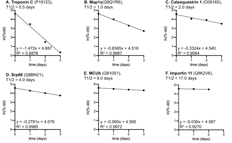 Figure 1—figure supplement 1.