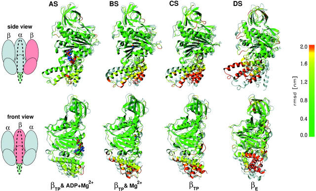 FIGURE 4