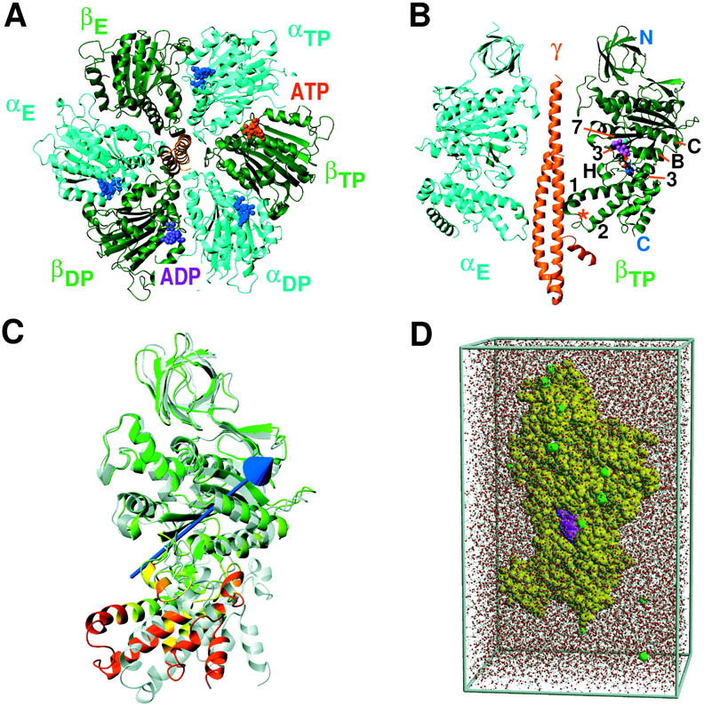 FIGURE 1