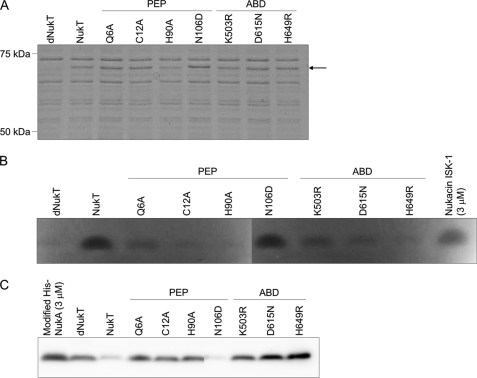 FIGURE 5.