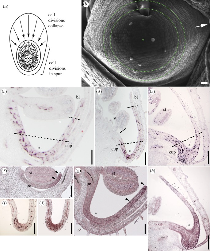 Figure 1.