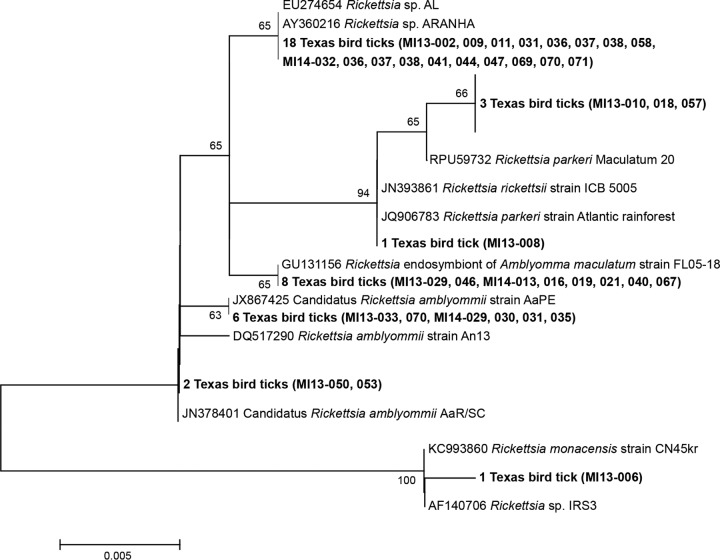 FIG 3