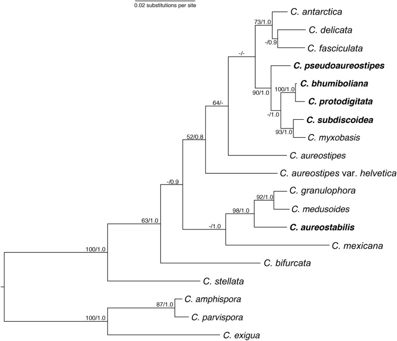 Fig. 1