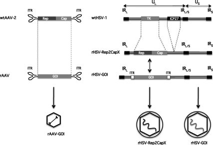 FIG. 1.