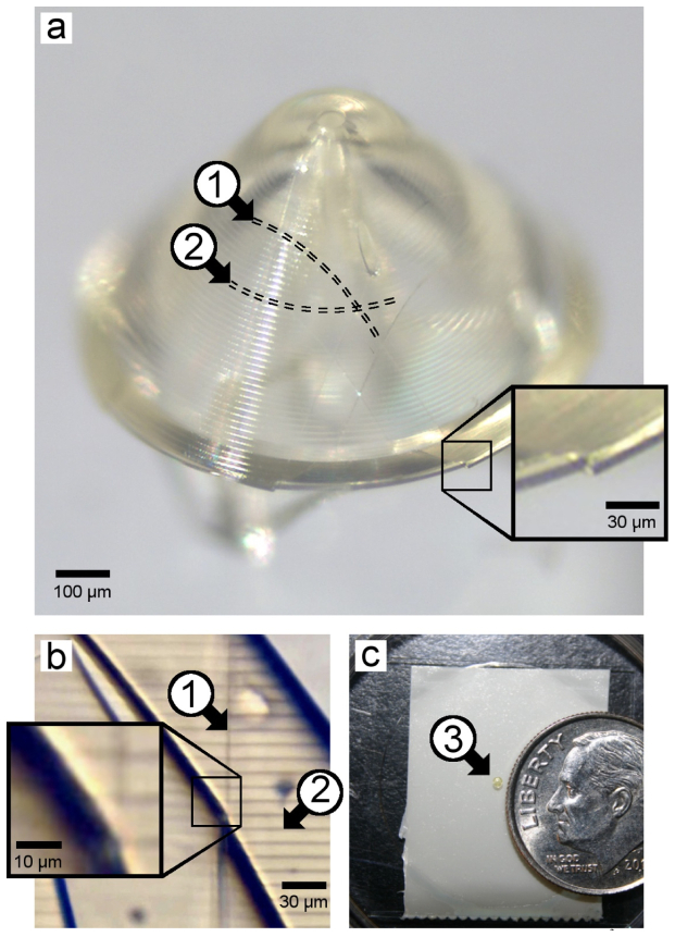 Fig. 3