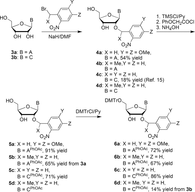 Scheme 2