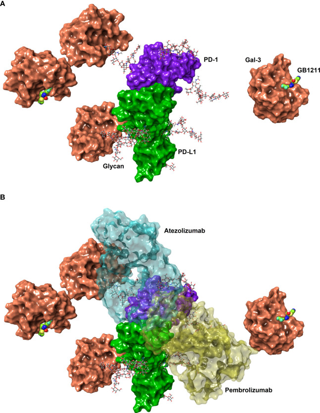 Figure 1