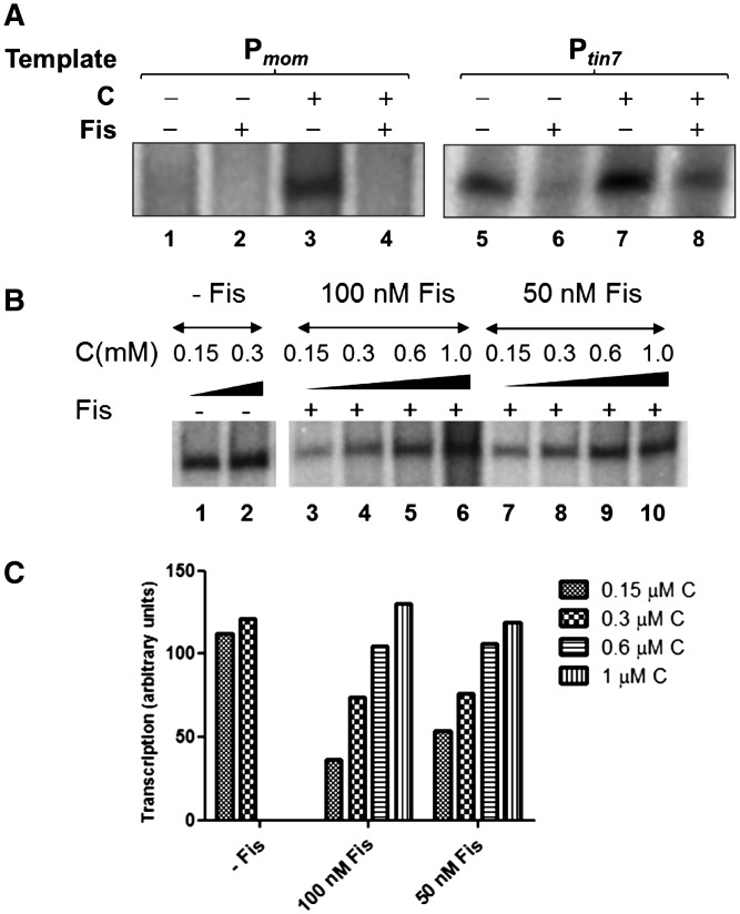 Figure 3.