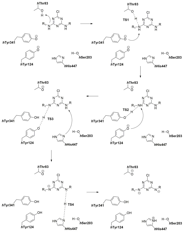 Scheme 1