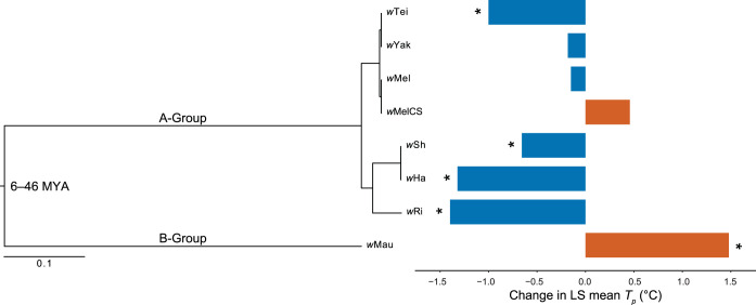 FIG 2