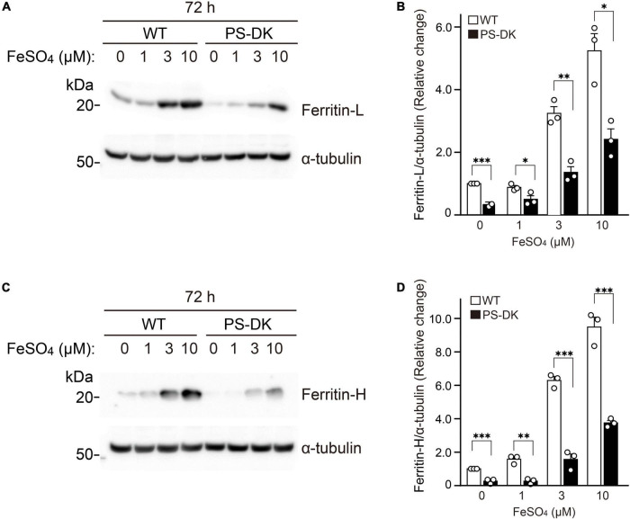 FIGURE 3