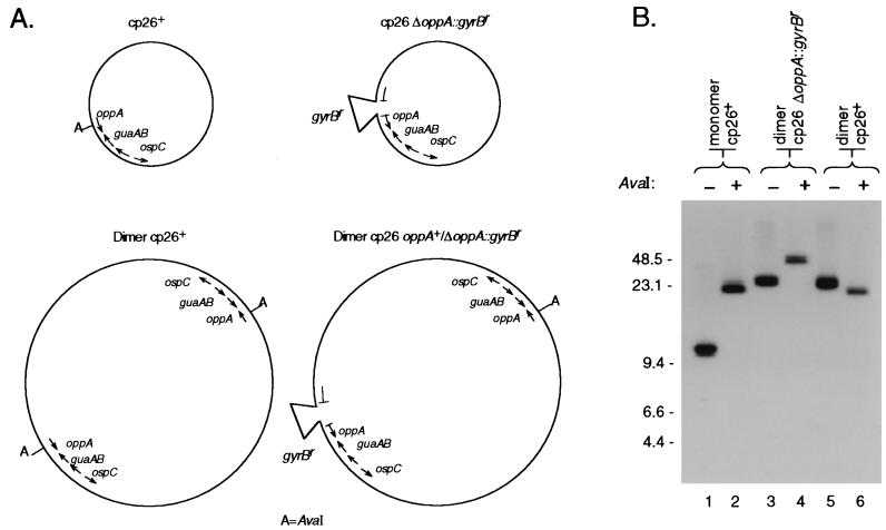 FIG. 4