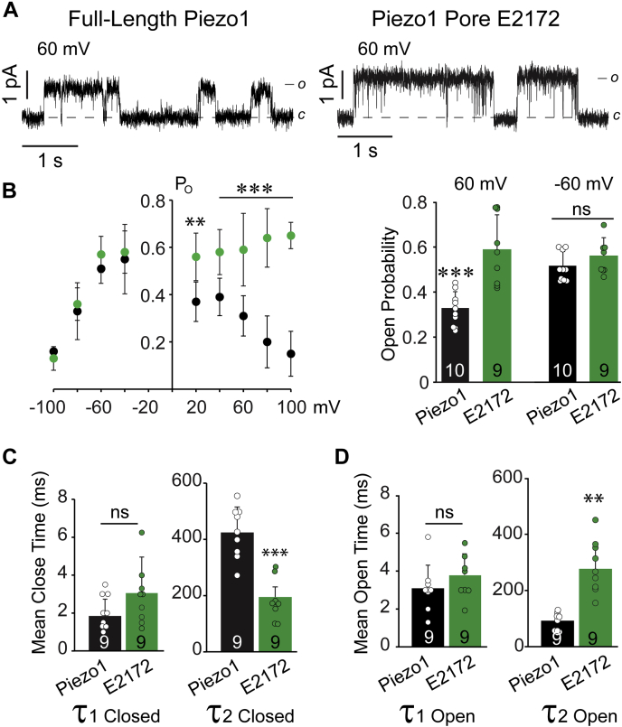 Figure 6