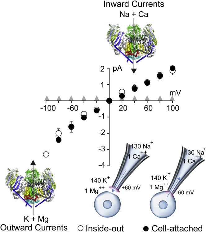 Figure 1