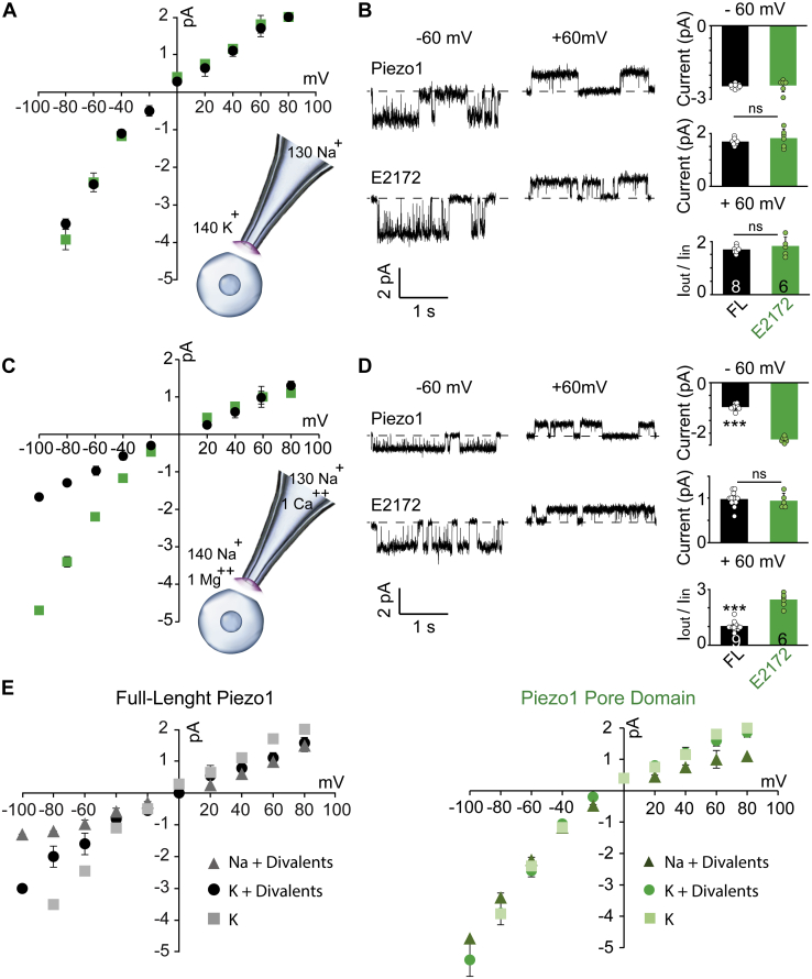 Figure 4