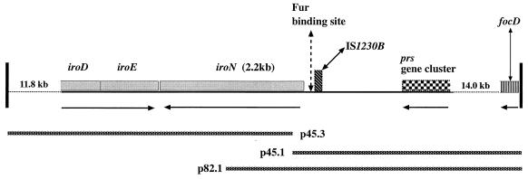 FIG. 1