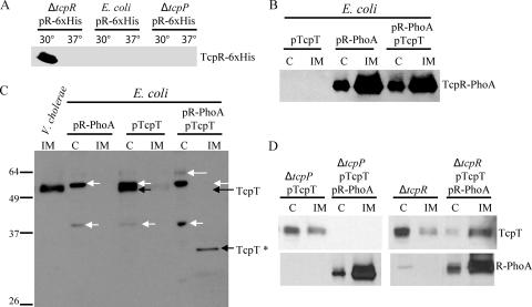 FIG. 5.