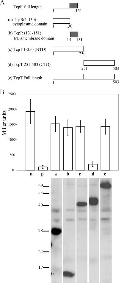 FIG. 7.