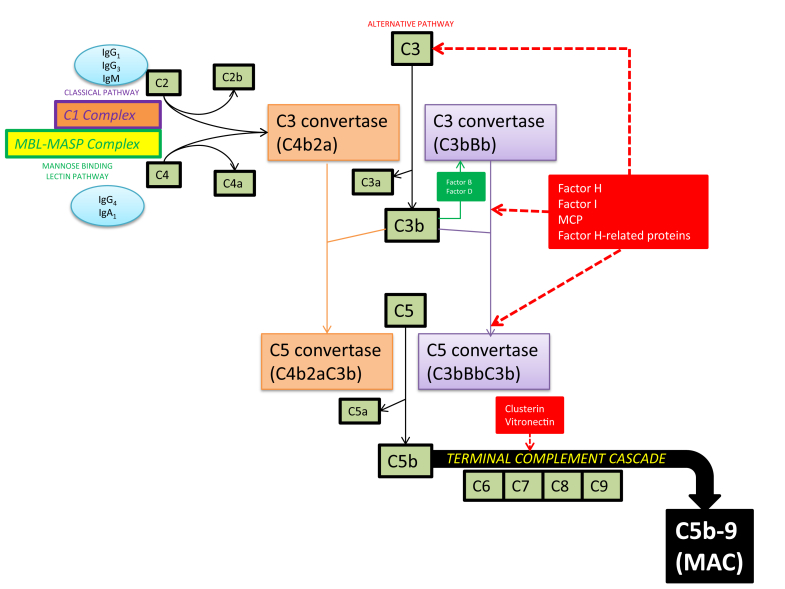 Figure 1