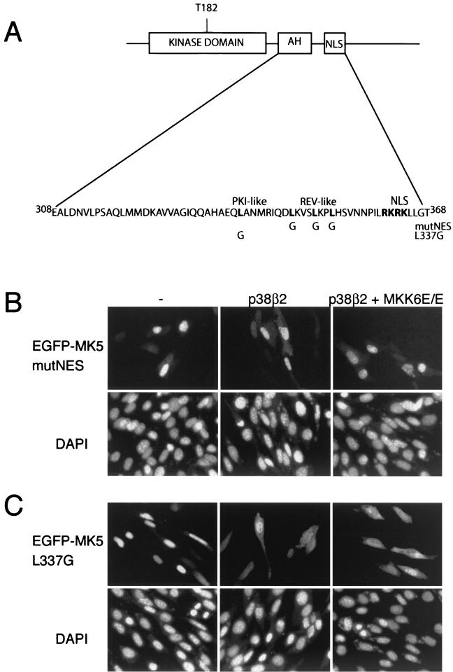 FIG. 8.