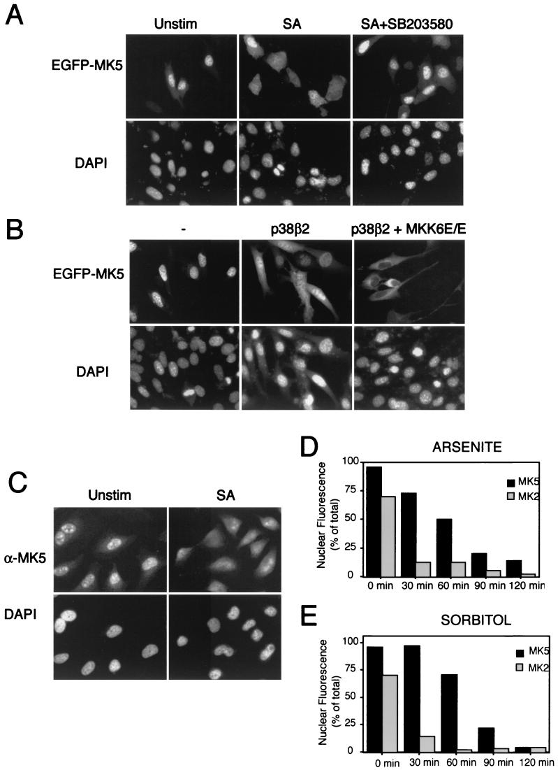 FIG.4.