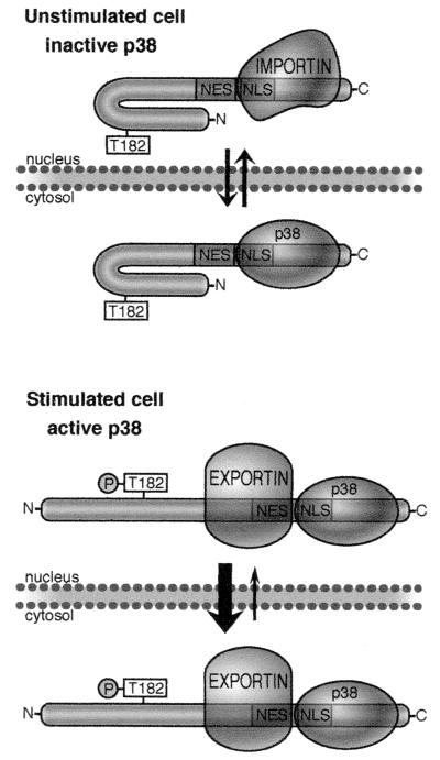 FIG. 10.