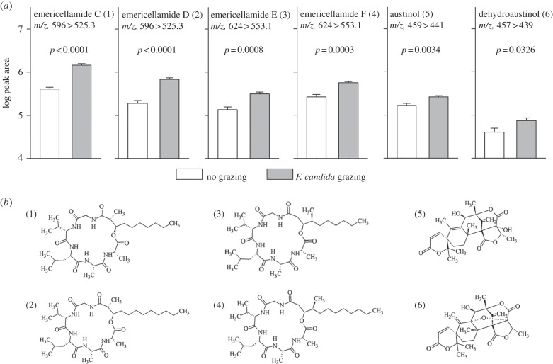 Figure 4.