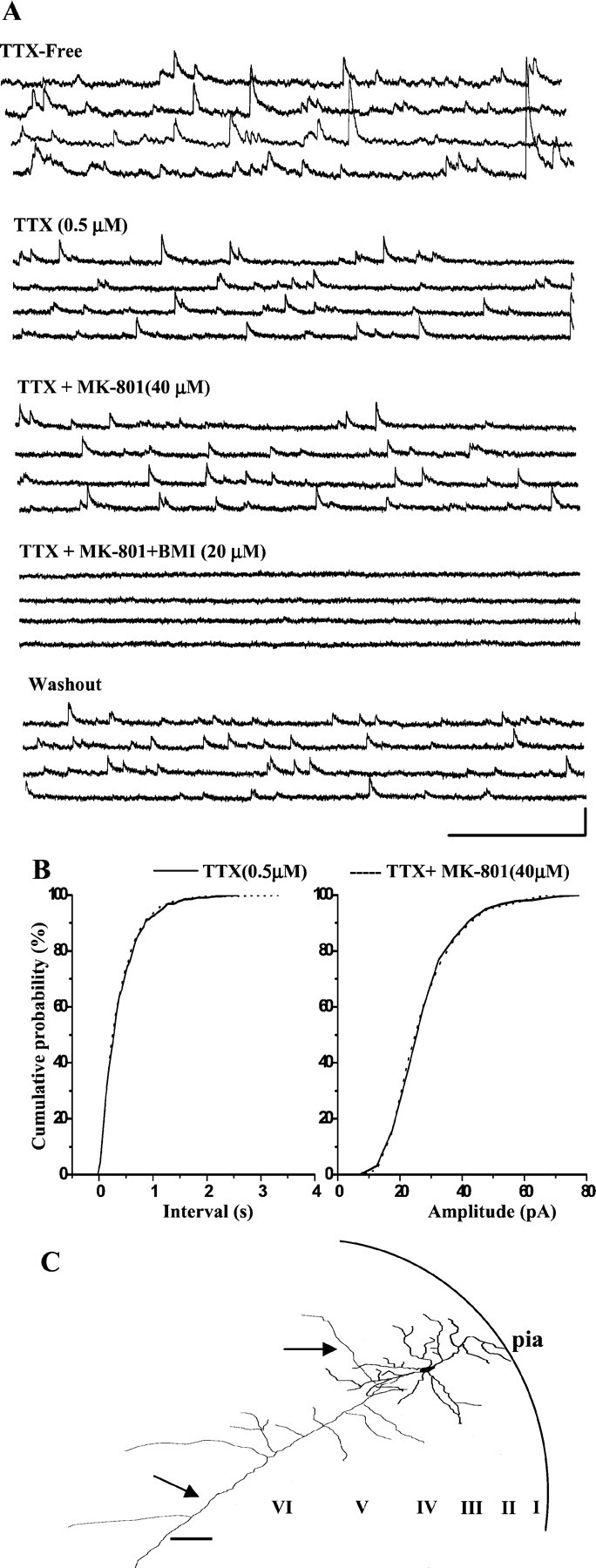 Fig. 9.