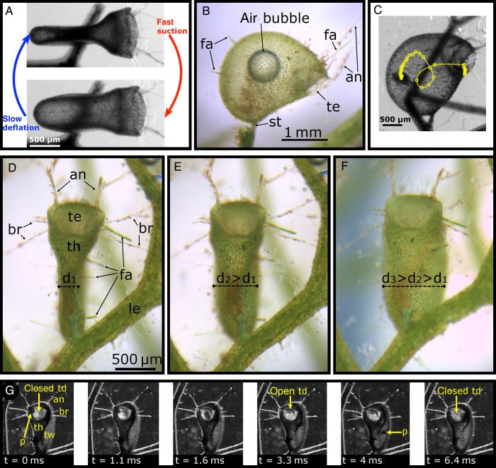 Figure 4.