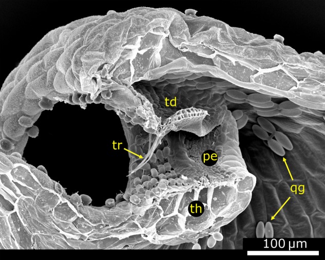 Figure 10.